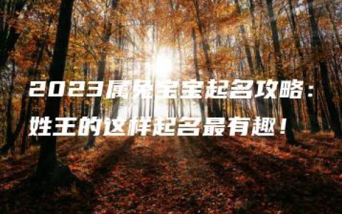 2023属兔宝宝起名攻略：姓王的这样起名最有趣！