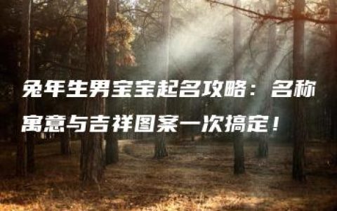 兔年生男宝宝起名攻略：名称寓意与吉祥图案一次搞定！