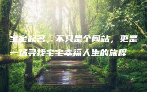 宝宝起名，不只是个网站，更是一场寻找宝宝幸福人生的旅程