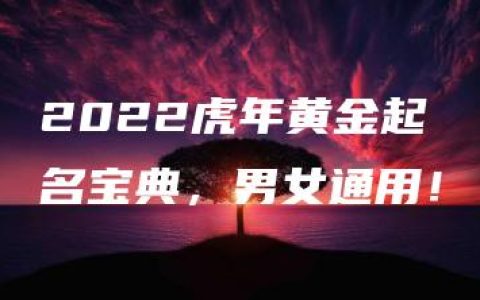 2022虎年黄金起名宝典，男女通用！