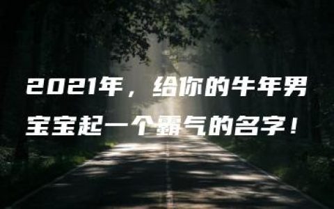 2021年，给你的牛年男宝宝起一个霸气的名字！