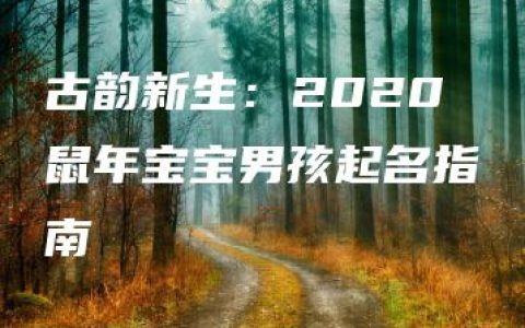 古韵新生：2020鼠年宝宝男孩起名指南