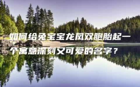 如何给兔宝宝龙凤双胞胎起一个寓意深刻又可爱的名字？