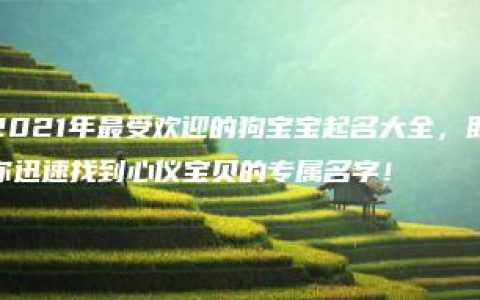 2021年最受欢迎的狗宝宝起名大全，助你迅速找到心仪宝贝的专属名字！