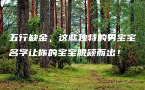 五行缺金，这些独特的男宝宝名字让你的宝宝脱颖而出！