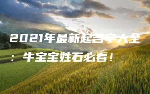 2021年最新起名字大全：牛宝宝姓石必看！