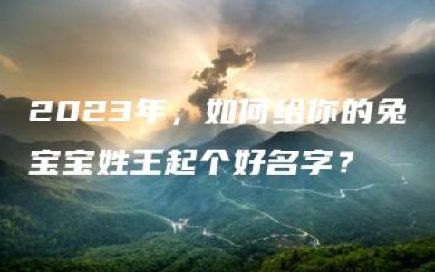 2023年，如何给你的兔宝宝姓王起个好名字？