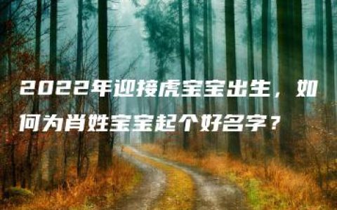 2022年迎接虎宝宝出生，如何为肖姓宝宝起个好名字？