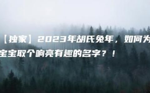 【独家】2023年胡氏兔年，如何为宝宝取个响亮有趣的名字？！