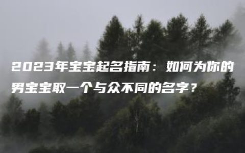 2023年宝宝起名指南：如何为你的男宝宝取一个与众不同的名字？