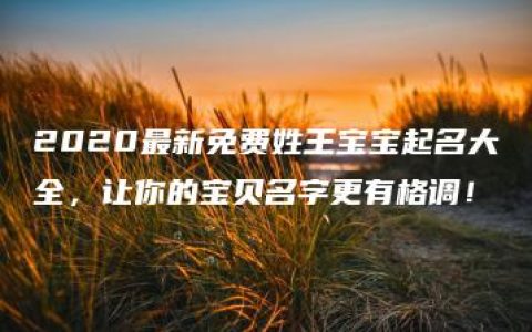 2020最新免费姓王宝宝起名大全，让你的宝贝名字更有格调！