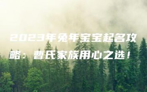 2023年兔年宝宝起名攻略：曹氏家族用心之选！