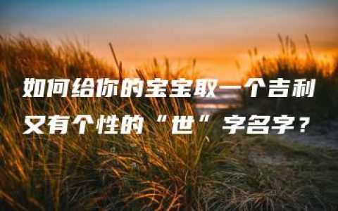 如何给你的宝宝取一个吉利又有个性的“世”字名字？