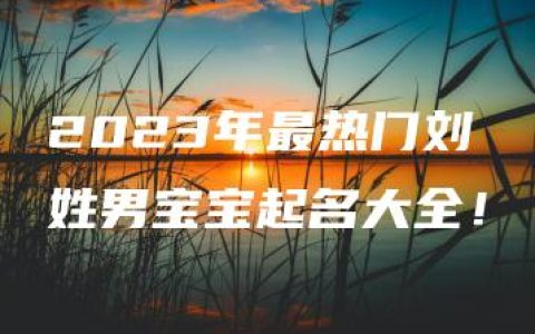 2023年最热门刘姓男宝宝起名大全！