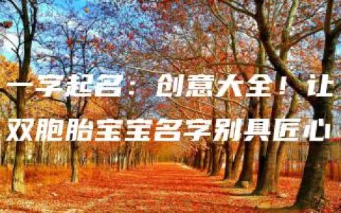 一字起名：创意大全！让双胞胎宝宝名字别具匠心