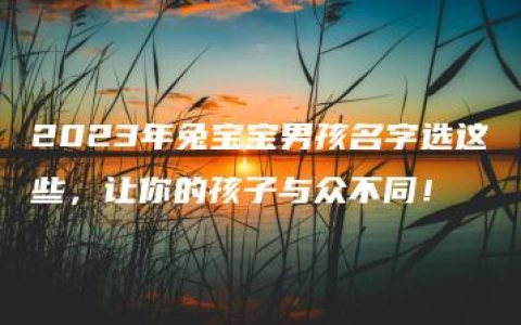 2023年兔宝宝男孩名字选这些，让你的孩子与众不同！