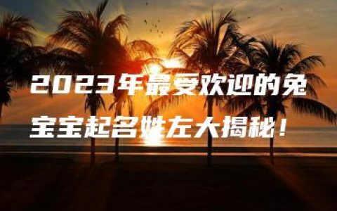 2023年最受欢迎的兔宝宝起名姓左大揭秘！