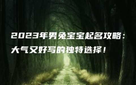 2023年男兔宝宝起名攻略：大气又好写的独特选择！