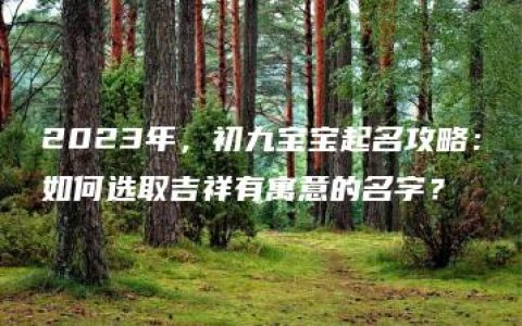 2023年，初九宝宝起名攻略：如何选取吉祥有寓意的名字？