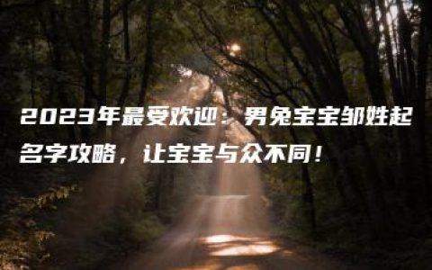 2023年最受欢迎：男兔宝宝邹姓起名字攻略，让宝宝与众不同！