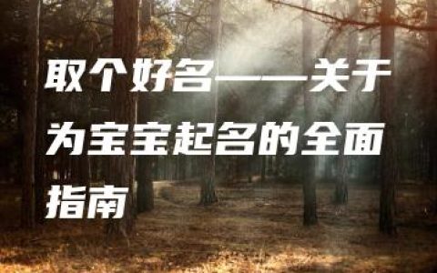 取个好名——关于为宝宝起名的全面指南