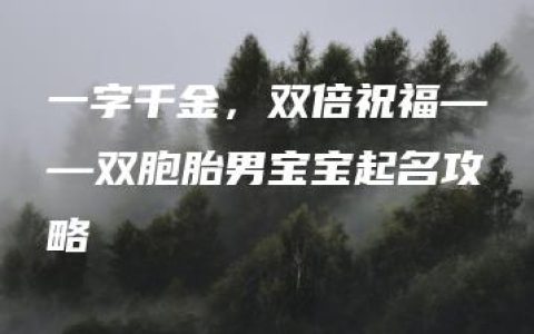 一字千金，双倍祝福——双胞胎男宝宝起名攻略