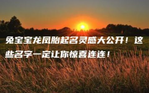 兔宝宝龙凤胎起名灵感大公开！这些名字一定让你惊喜连连！