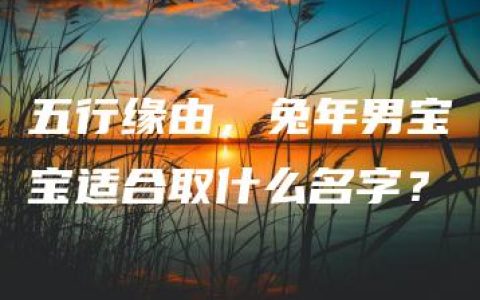 五行缘由，兔年男宝宝适合取什么名字？