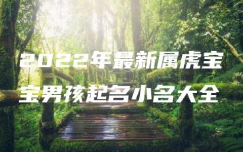 2022年最新属虎宝宝男孩起名小名大全