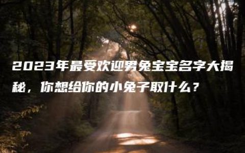 2023年最受欢迎男兔宝宝名字大揭秘，你想给你的小兔子取什么？