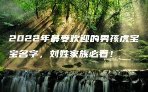 2022年最受欢迎的男孩虎宝宝名字，刘姓家族必看！