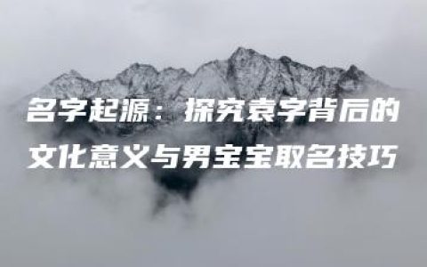 名字起源：探究袁字背后的文化意义与男宝宝取名技巧