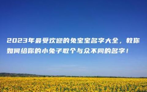 2023年最受欢迎的兔宝宝名字大全，教你如何给你的小兔子取个与众不同的名字！