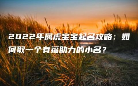 2022年属虎宝宝起名攻略：如何取一个有福助力的小名？