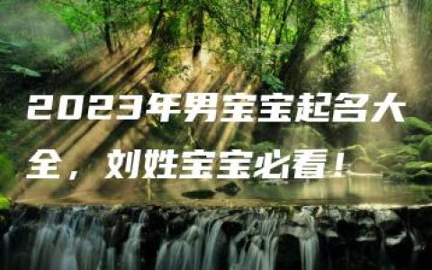 2023年男宝宝起名大全，刘姓宝宝必看！