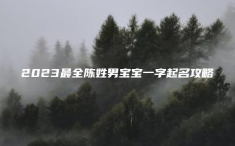 2023最全陈姓男宝宝一字起名攻略