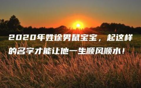 2020年姓徐男鼠宝宝，起这样的名字才能让他一生顺风顺水！