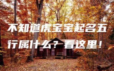 不知道虎宝宝起名五行属什么？看这里！