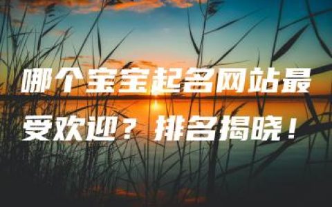 哪个宝宝起名网站最受欢迎？排名揭晓！