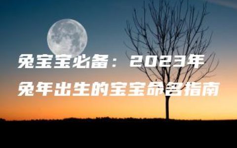 兔宝宝必备：2023年兔年出生的宝宝命名指南