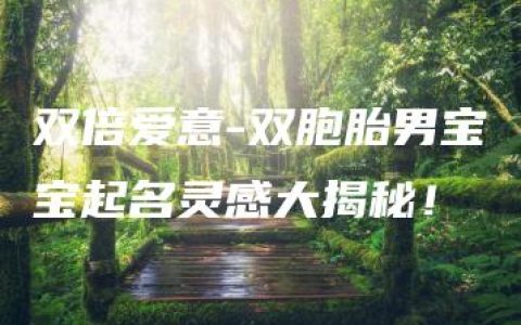 双倍爱意-双胞胎男宝宝起名灵感大揭秘！