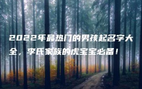 2022年最热门的男孩起名字大全，李氏家族的虎宝宝必备！