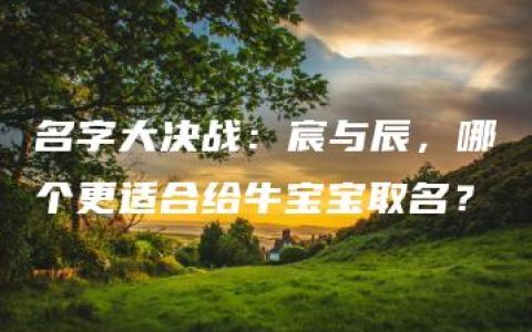 名字大决战：宸与辰，哪个更适合给牛宝宝取名？