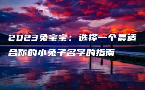 2023兔宝宝：选择一个最适合你的小兔子名字的指南