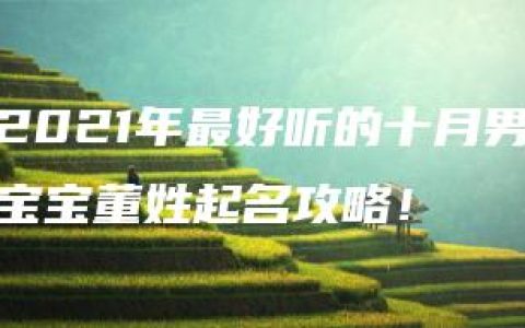 2021年最好听的十月男宝宝董姓起名攻略！