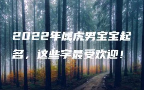 2022年属虎男宝宝起名，这些字最受欢迎！