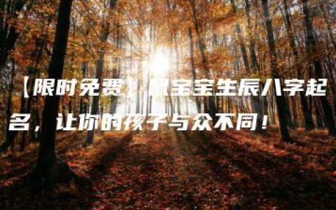 【限时免费】鼠宝宝生辰八字起名，让你的孩子与众不同！