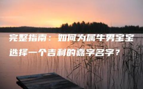 完整指南：如何为属牛男宝宝选择一个吉利的嘉字名字？