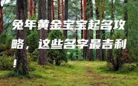 兔年黄金宝宝起名攻略，这些名字最吉利！