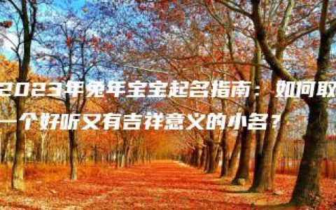 2023年兔年宝宝起名指南：如何取一个好听又有吉祥意义的小名？